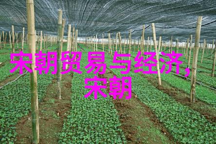 古今长河揭秘中国上下五千年的未解之谜