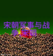 明朝风华与民生困顿盛世之光与百姓之声