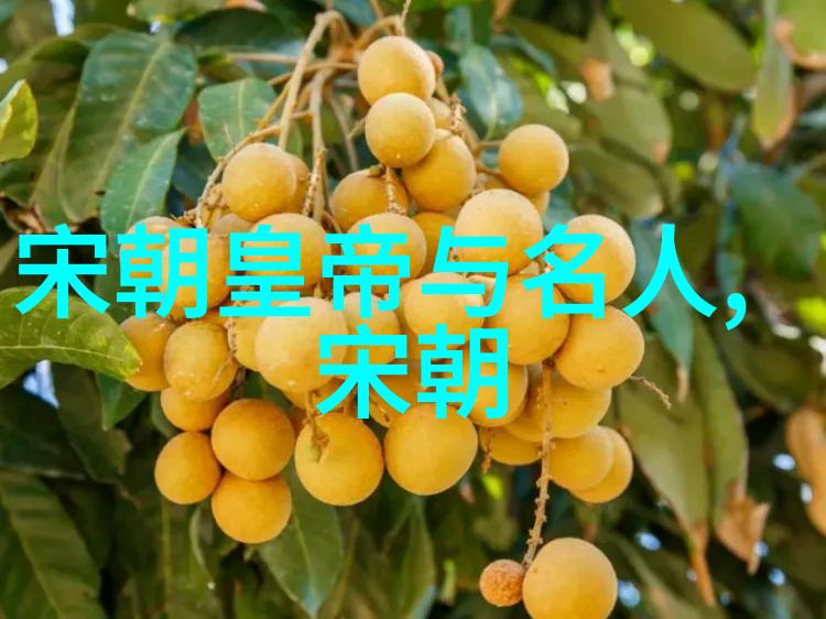 南宋北宋分裂之谜一场历史的巨轮转变