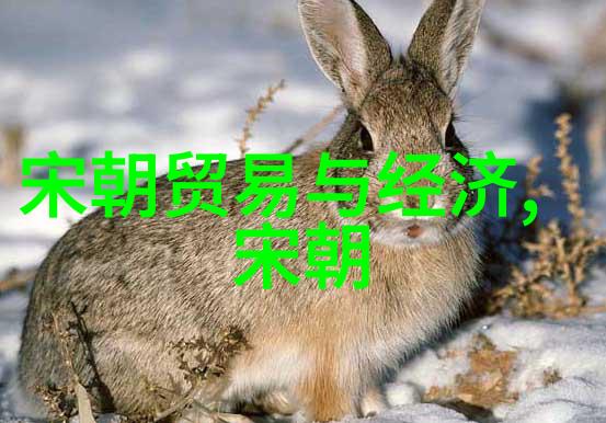 风云南北朝e18虞集的秘密之谜