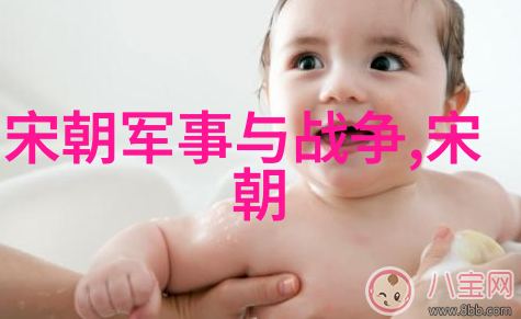 明朝的辉煌与挑战探索一个强国的轮廓