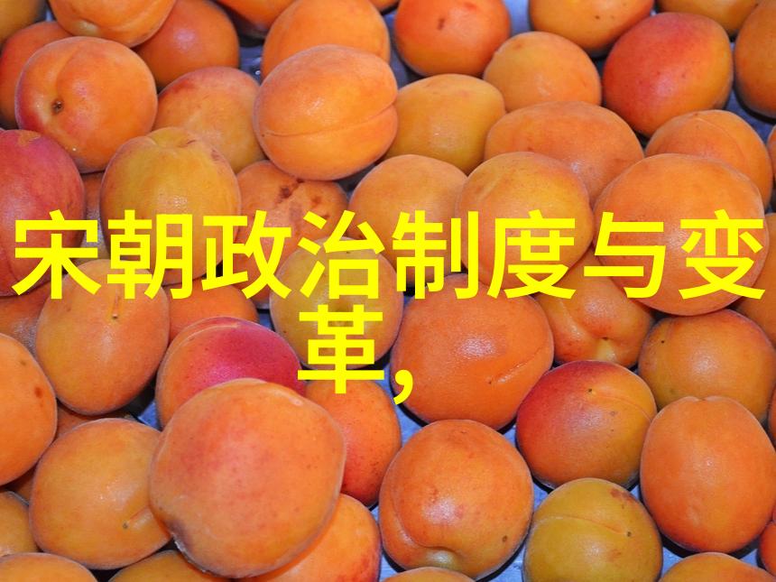 南明朝世系顺序列表追溯后土至隆武的帝王变迁