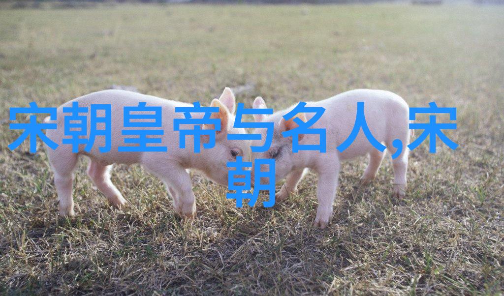 南明朝历代帝王简历江山社稷的最后守望者