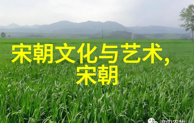 宋朝历史app探秘千年往事的数字化征程