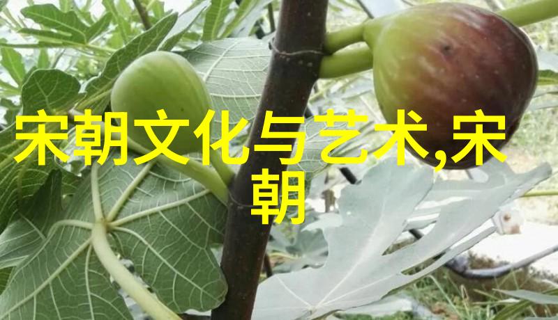 征服蒙古征服女真再征服明清对外扩张战略比较