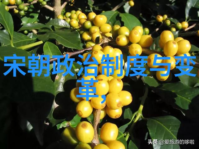 明朝十六任帝王权力排行权谋斗争下的皇家秩序