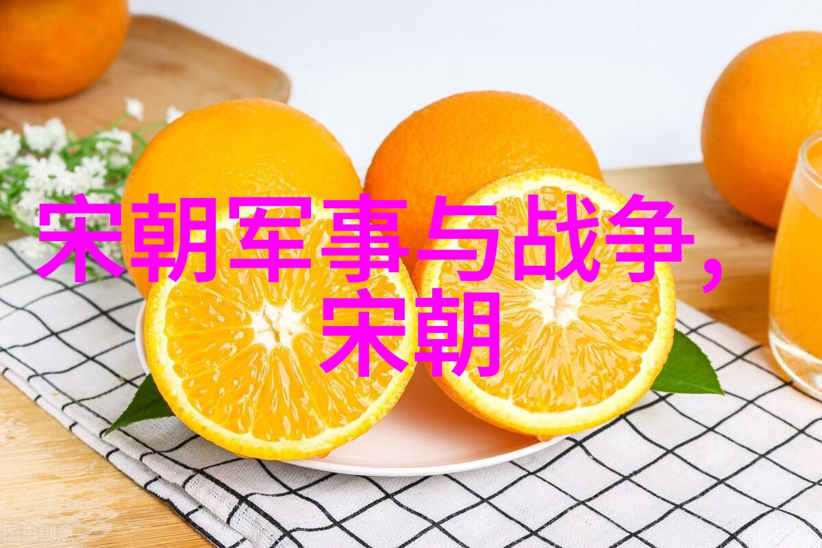 明朝的耻辱土木堡土木堡之战的历史教训