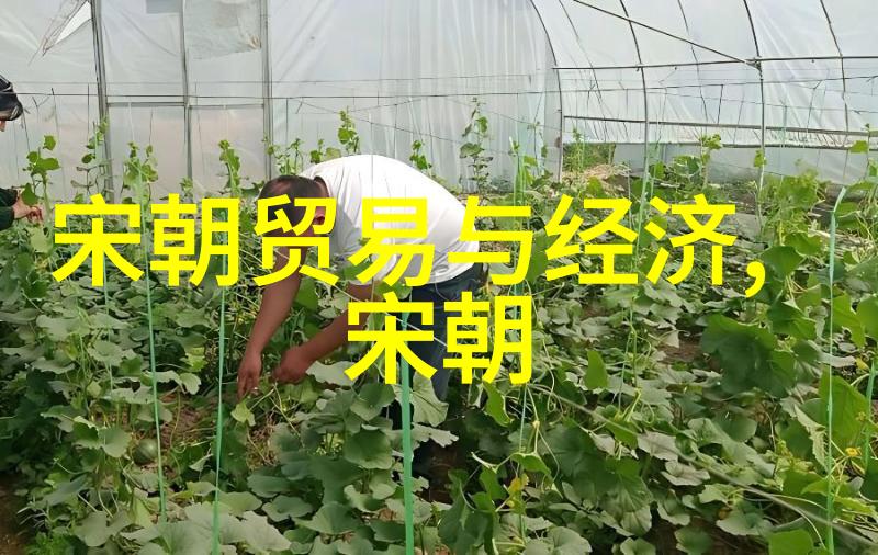 一句话概括唐朝-贞观之治唐朝辉煌篇章