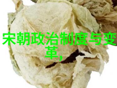 中国朝代序列之谜揭秘历史长河的纷繁变迁