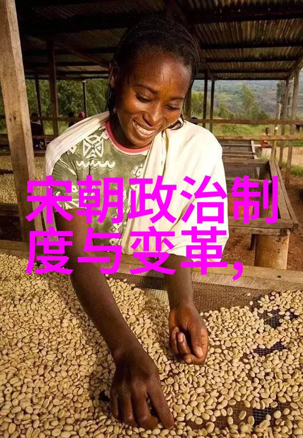 历史纵览-从汉朝到清朝历代帝王的辉煌与衰落