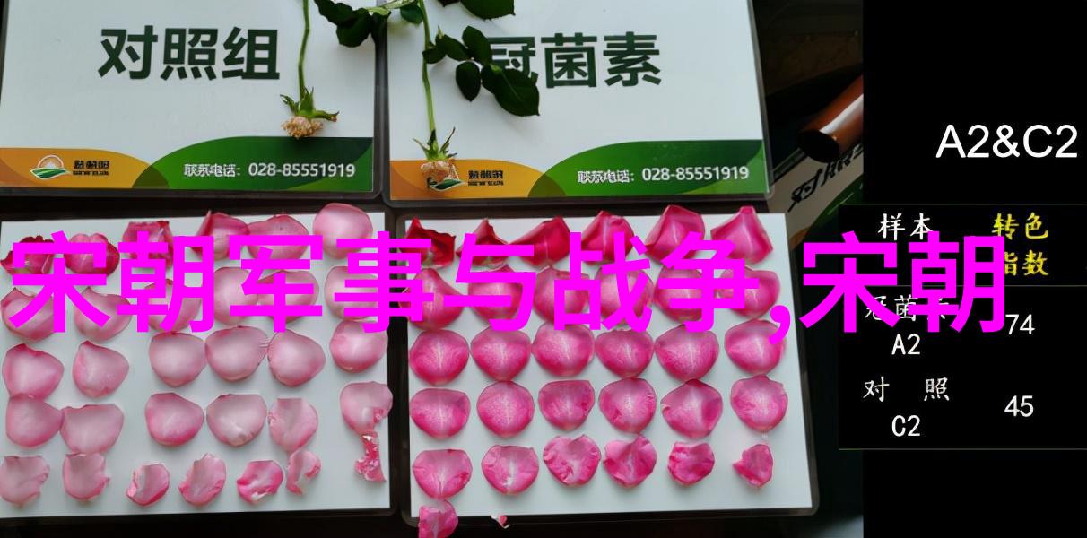 三国两晋南北朝时期分裂与重合的历史篇章
