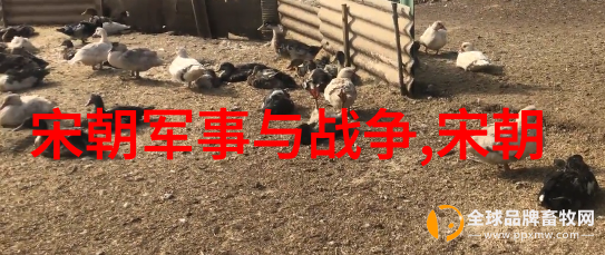 宋朝历史成就繁荣一隅衰败尽显