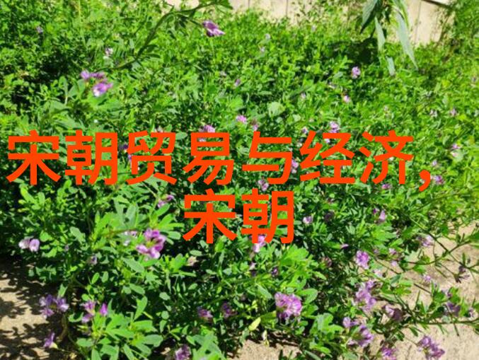 论明朝一些不为人知的事迹及其对当代社会意义解读