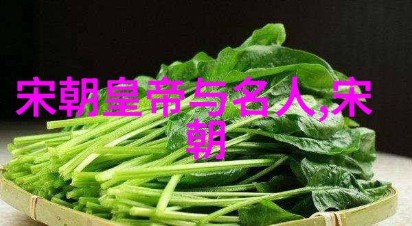 元代历史背景总结-辽金元三国鼎立与蒙古帝国崛起的历史转折