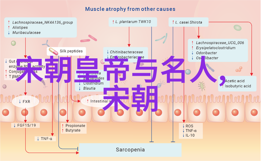 忽必烈的传奇一生-大汗征途忽必烈的历史足迹