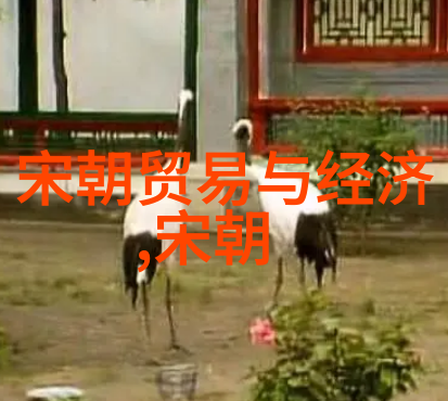 撩愈的艺术如何用文字温柔征服心灵