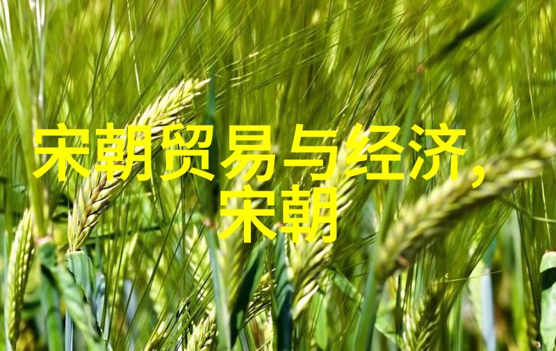 全真姓名数据库揭秘494位名字背后的故事与文化意义