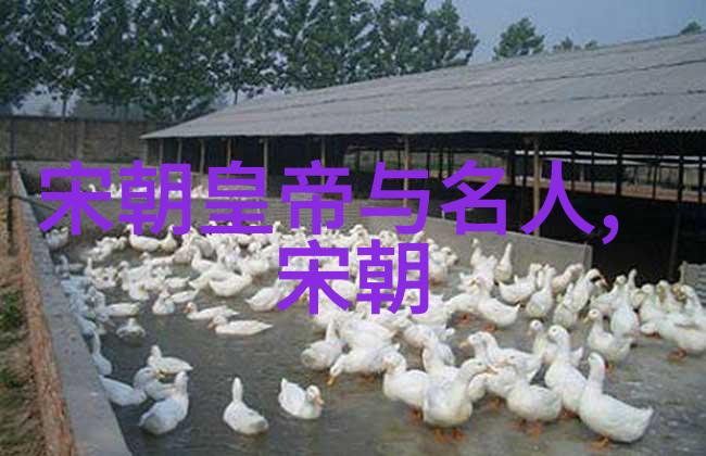 朱祁镇称为大明战神的原因历史上的军事成就与战略才能