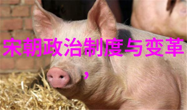 中国朝代历史时空穿梭一览千年变迁的图解时代之旅