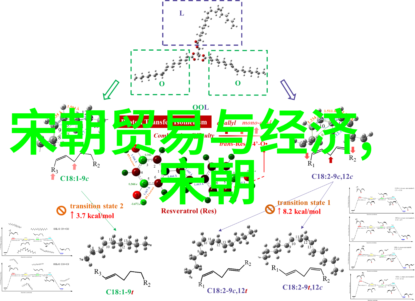 面对丰富的人物选择怎样决定哪个才是最佳素材呢