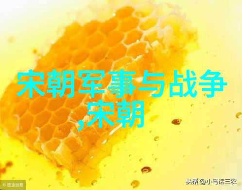 清朝与明朝比较科技文化与政治的辉煌与落后