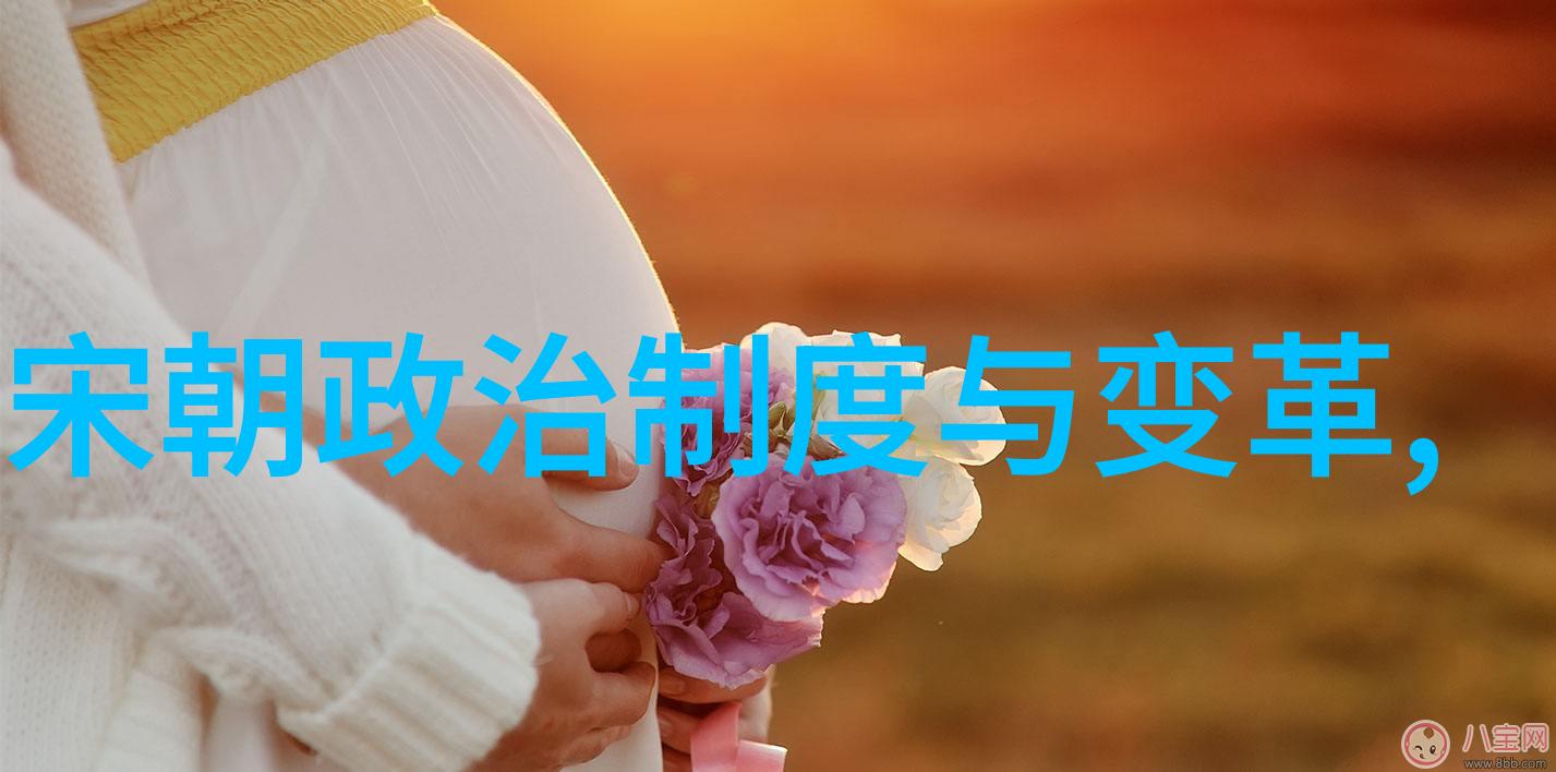 明朝-历代帝王盛衰变迁从太祖朱元璋到崇禎帝的兴衰篇章