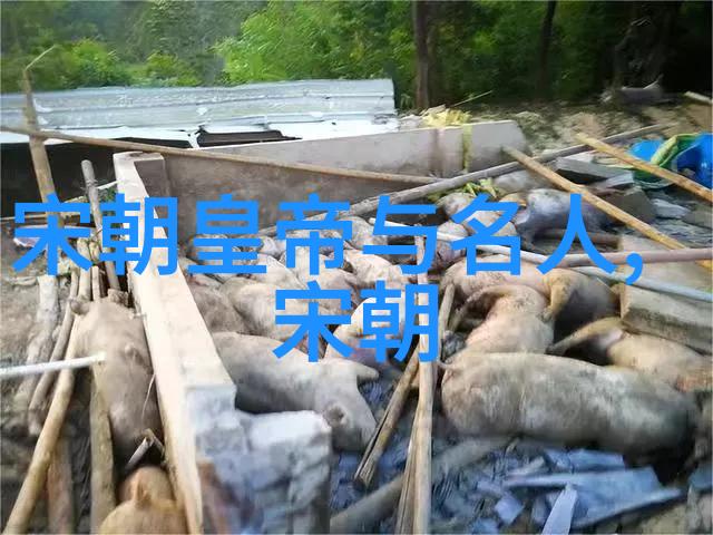 探索中国艺术与收藏的权威地位传统与现代的交汇点
