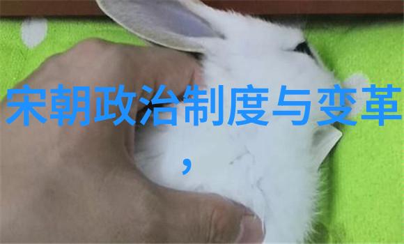 锦绣河山中埋藏的铁血与泪水土木堡之变