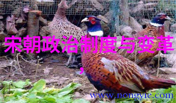 明代的鼎盛与衰落探索中国历史上的辉煌时期