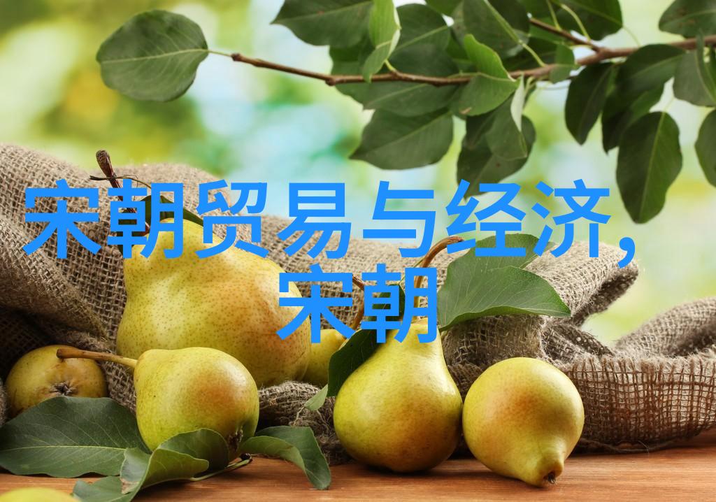 明朝风华皇权之巅的隐秘斗争