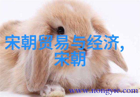 明朝那些事揭秘历史的深邃面纱