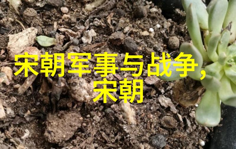 赵一荻的巡洋舰物品