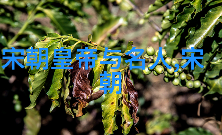 光绪帝囚禁十年考探究晚清政治狭缝中的皇权变迁与生活体验