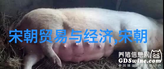 万历之后的盛世与变革明朝文化艺术的新篇章