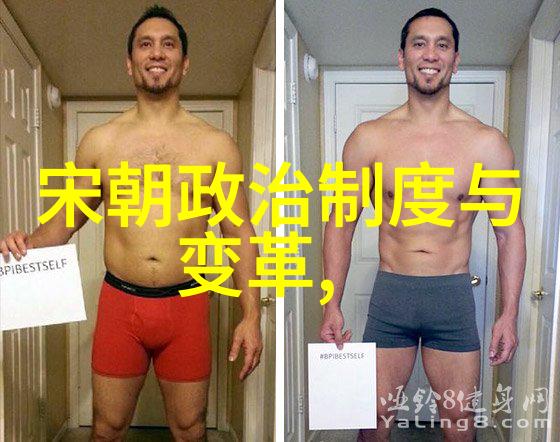 宋朝的统一梦想探索一个历史巨匠的王朝大一统之路
