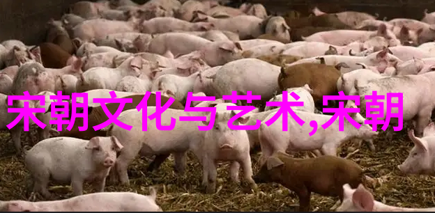 宋朝时期-宋代边疆之巍探究宋朝与周边国家的交往与关系