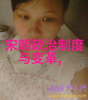 宋朝相关历史内容-北宋末年政局动荡与金国入侵的历史考析