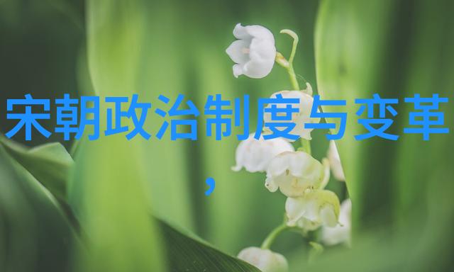 秘录元朝之谜科技的暗影与历史的轨迹