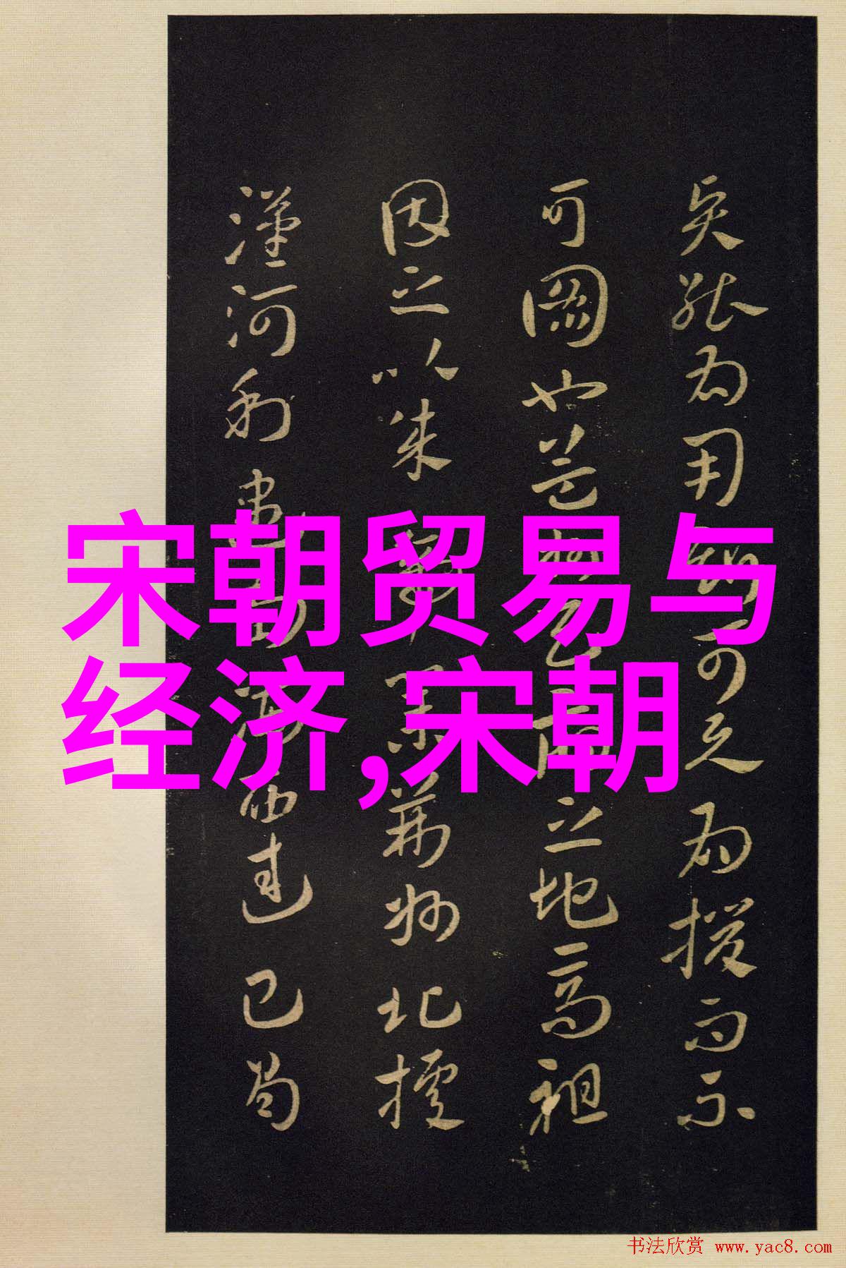 战争历史军事冲突的深度探究