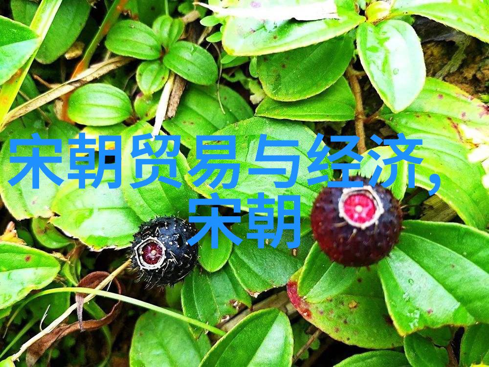 明末八大寇的乱世风云
