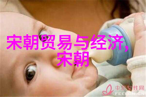 土木堡之变对中国历史的影响-辽金交锋下的历史重塑土木堡之战及其深远影响