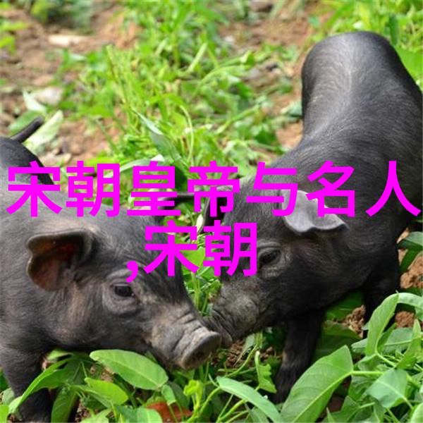 历史课本丑化明朝-明光照耀揭秘历史课本中被误解的明朝