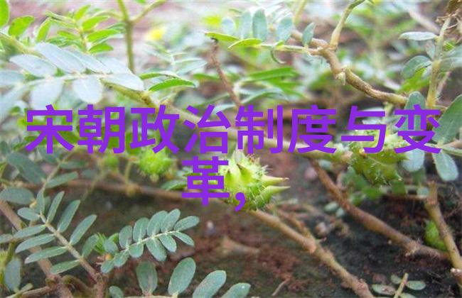 元代的饮食风味从蒙古包到皇家宴席