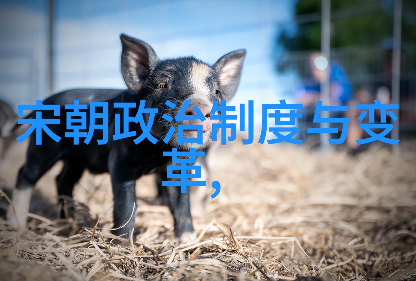 帝光耀史宋朝君主简介