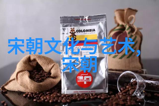 梦想的边界青春韩国的歌声与风采