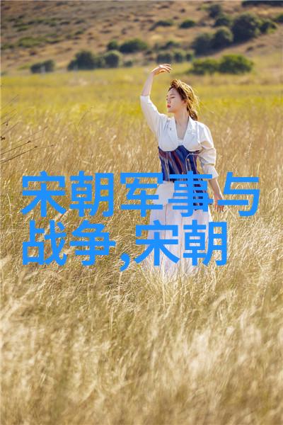 明清两代是如何确立和巩固其政权的