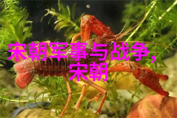 大明帝国的守护者朱祁镇的人物塑造与影响力
