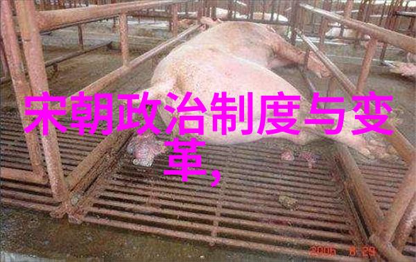 明朝最厉害的我是如何发现那位武将的绝技的