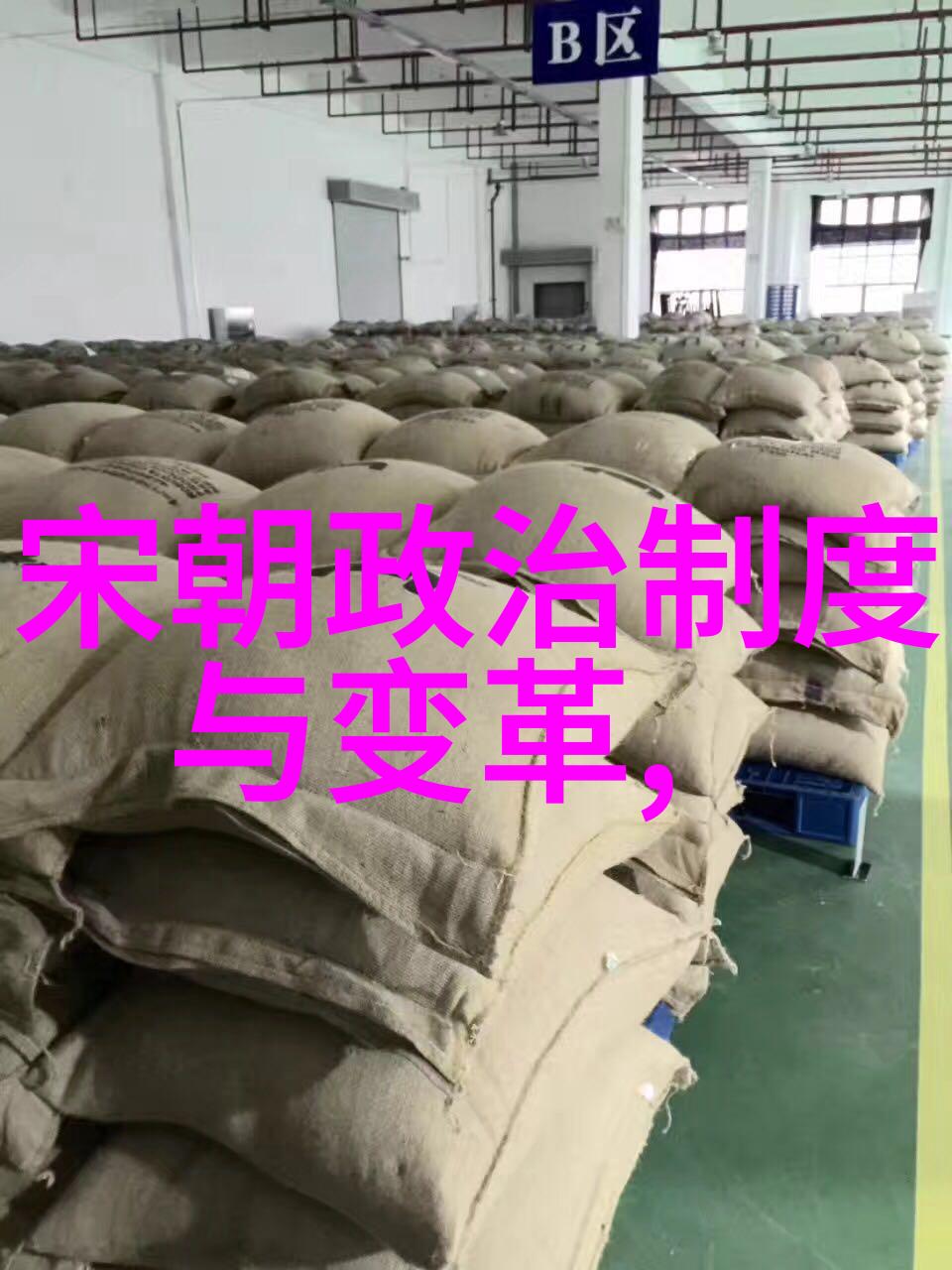建元功业朱元璋的皇权巩固与社会治理