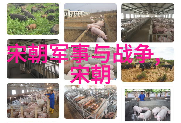河南文化之旅揭秘古老的足迹与现代韵味